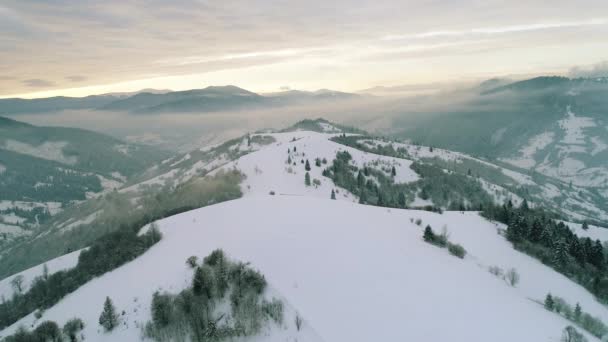 日当たりの良い時間でカルパティア山脈 — ストック動画