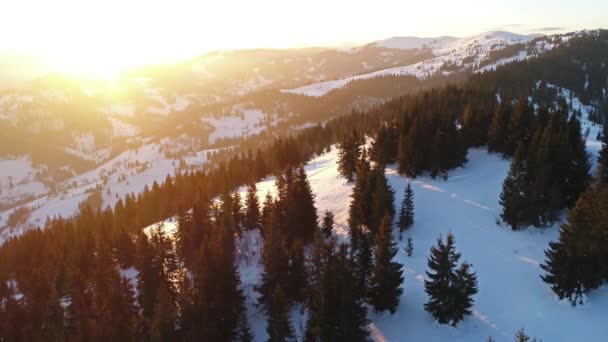 Montagnes carpates au coucher du soleil en hiver — Video