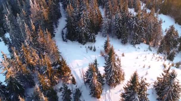 Montanhas dos Cárpatos no pôr-do-sol no inverno — Vídeo de Stock