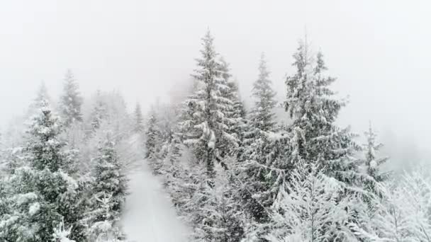 积雪的喀尔巴阡山脉 — 图库视频影像