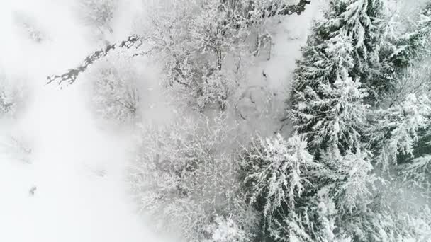 Karpaterna med snö — Stockvideo