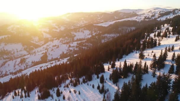 Montañas de Cárpatos en la puesta del sol en invierno — Vídeos de Stock