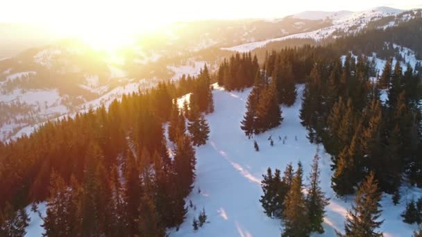 Montañas de Cárpatos en la puesta del sol en invierno — Vídeos de Stock