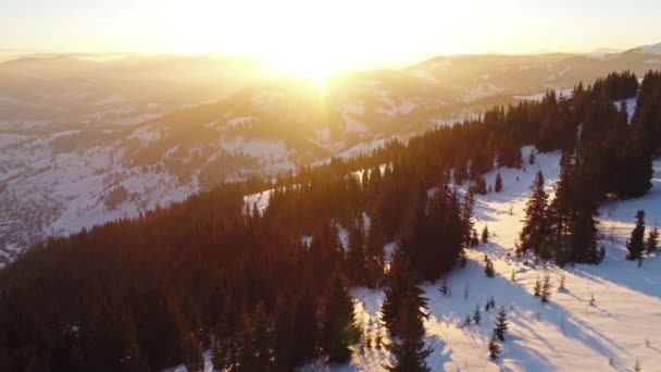 Karpaty v západu slunce v zimě — Stock video