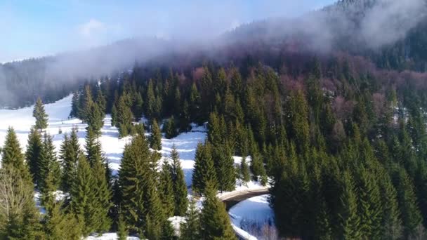 Montañas en tiempo soleado en invierno — Vídeo de stock