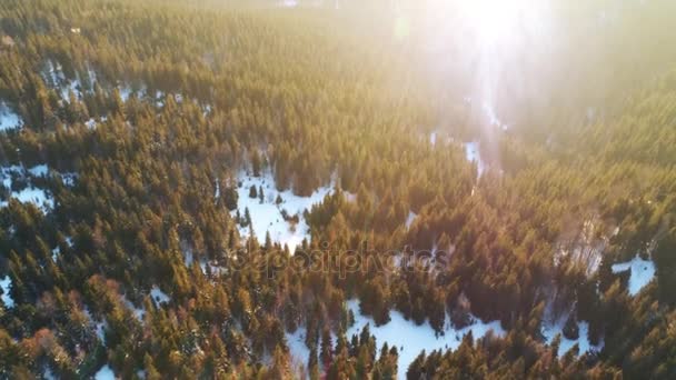 Montañas en tiempo soleado en invierno — Vídeo de stock