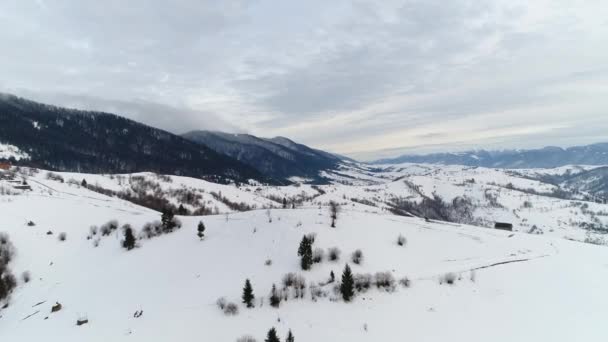 Montanhas Cárpatas no inverno — Vídeo de Stock