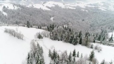 Karpat Dağları kar ile