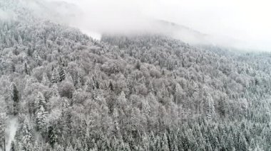 Karpat Dağları kar ile