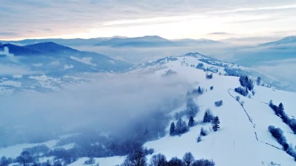 Montagnes carpates au coucher du soleil — Video