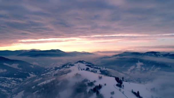 冬の夕暮れのカルパティア山脈 — ストック動画