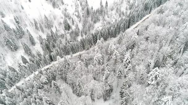 积雪的喀尔巴阡山脉 — 图库视频影像