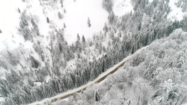 Montanhas dos Cárpatos com neve — Vídeo de Stock