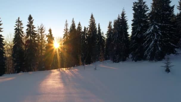 Montañas de Cárpatos en la puesta del sol en invierno — Vídeos de Stock