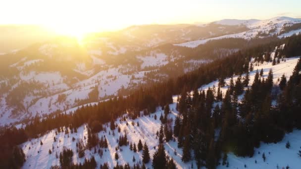 Καρπάθια Όρη στη δύση του ηλίου το χειμώνα — Αρχείο Βίντεο