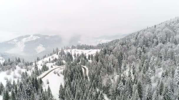 Kárpát-hegység, a hó — Stock videók