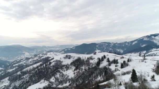 Montañas de los Cárpatos en invierno — Vídeo de stock