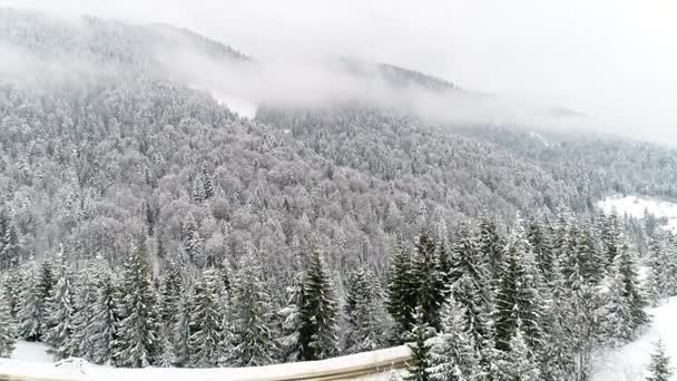 Montanhas dos Cárpatos com neve — Vídeo de Stock