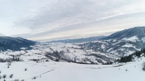 Montanhas Cárpatas no inverno — Vídeo de Stock