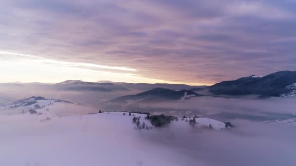 Montagne carpatiche al tramonto in inverno — Video Stock