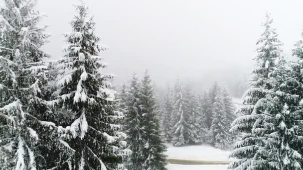Montagnes des Carpates en hiver — Video