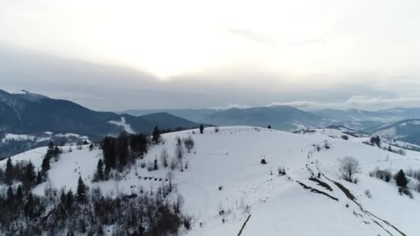 Carpathian mountains at winter — Stock Video