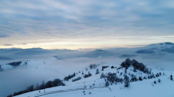 Montañas de los Cárpatos en invierno — Vídeo de stock