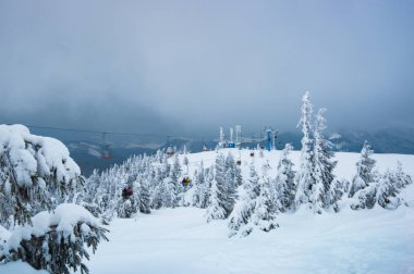Turistlerle İlkçeler Yamaçlara Git