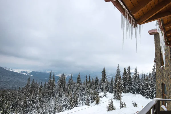 Prachtig winterlandschap van hoge dennenbomen — Stockfoto