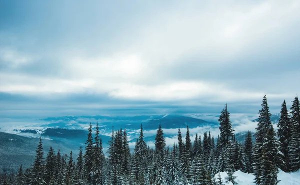 Uitzicht op de hoge besneeuwde bergen — Stockfoto