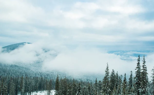 Yüksek karlı dağların manzarası — Stok fotoğraf