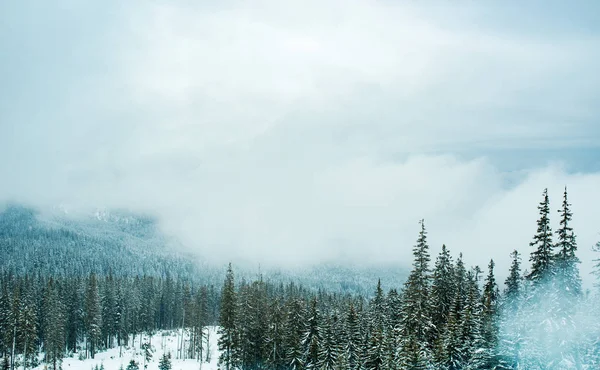 Vista das altas montanhas cobertas de neve — Fotografia de Stock