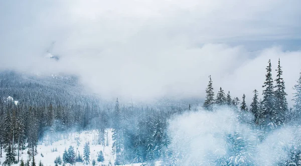 Pohled na vysoké zasněžené hory — Stock fotografie