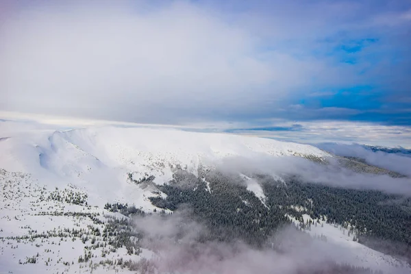 Vistas deslumbrantes da floresta e encostas nevadas — Fotografia de Stock