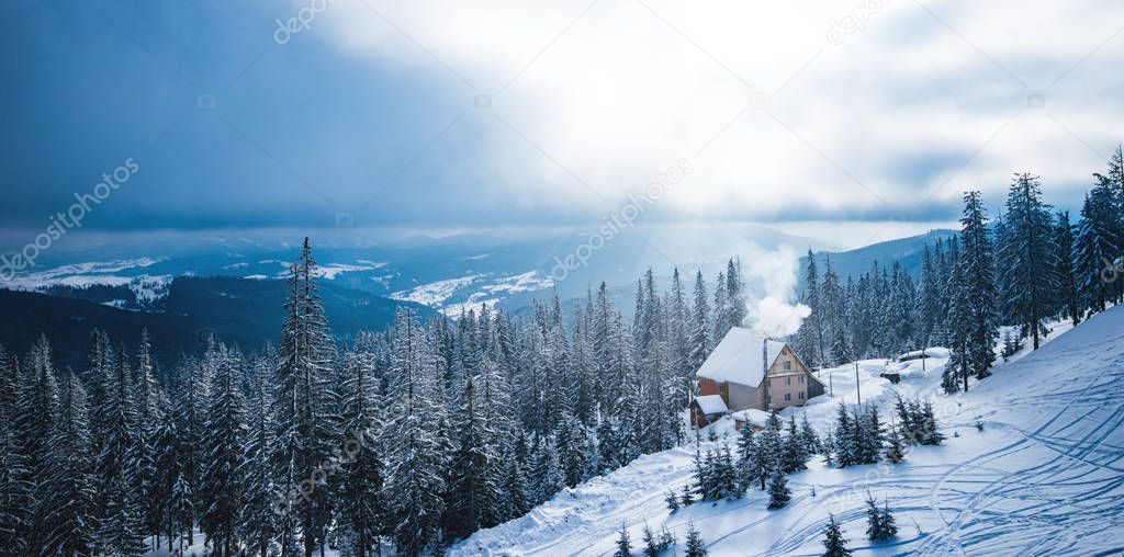 Wonderful winter recreation landscape forest