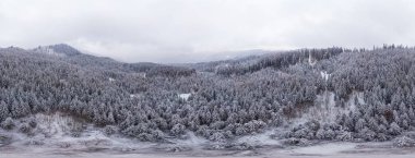 Beyaz karlı uçurumlardan oluşan göz kamaştırıcı bir kayak manzarası