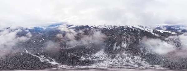 Panorama esférico coberto de neve aérea de abetos — Fotografia de Stock