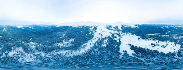 Spherical aerial snow-covered panorama of spruce trees — Stock Photo, Image