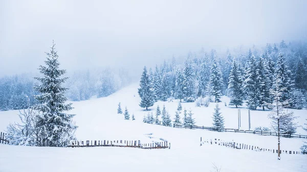 Betoverende winter pittoresk landschap — Stockfoto