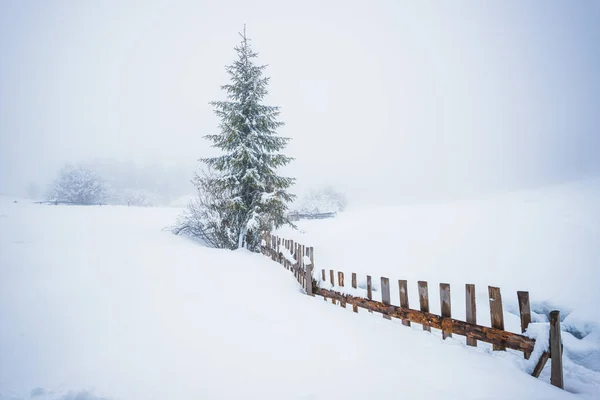 Czarujący zimowy malowniczy krajobraz — Zdjęcie stockowe