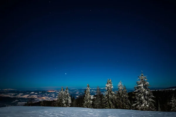 Enfeitiçando paisagem mágica de abeto alto nevado — Fotografia de Stock