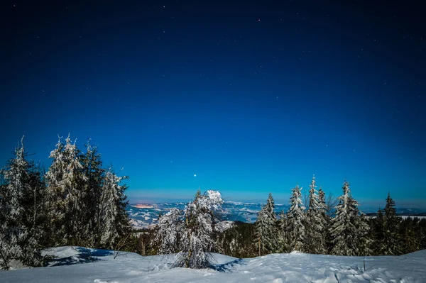 Enfeitiçando paisagem mágica de abeto alto nevado — Fotografia de Stock