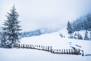 Büyüleyici kış manzarası.