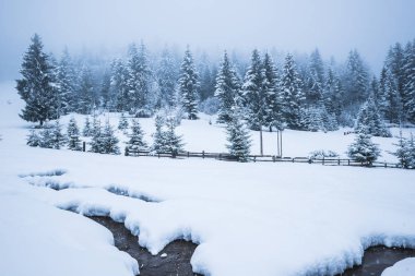 Güzel kar yağışı manzarası