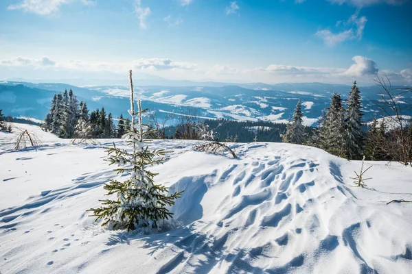 Чудовий вид зі сніжного схилу — стокове фото