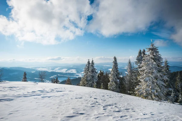 从雪地的斜坡上眺望美丽的景色 — 图库照片