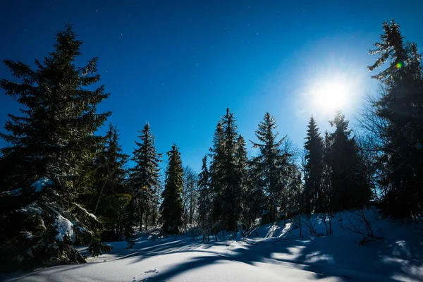 Wonderful beautiful winter landscape — Stock Photo, Image