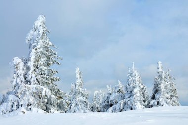 Dağın tepesinden manzara