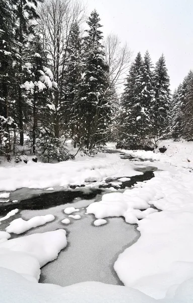 Un ruisseau coule dans une forêt enneigée — Photo