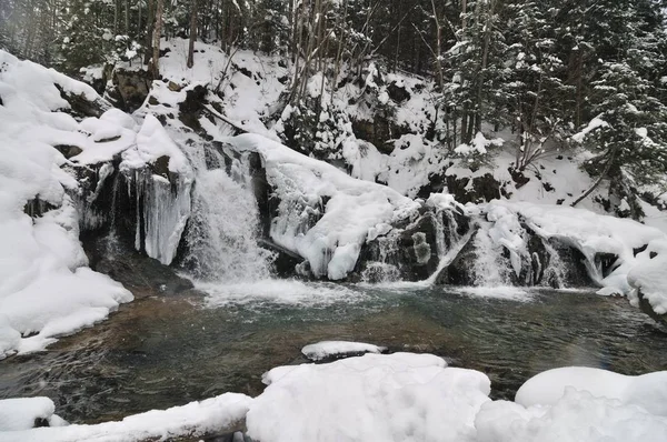 Belle cascade enneigée coulant dans les montagnes — Photo